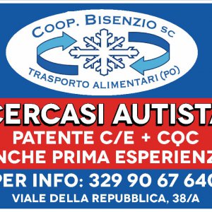 Cercasi urgentemente autista