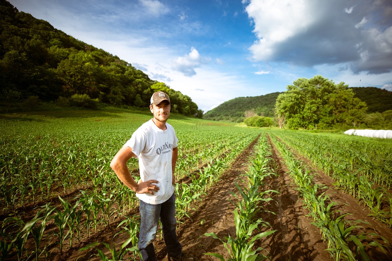 Carriera E Stipendio Dell Operaio Agricolo Blog E News Applavoro It